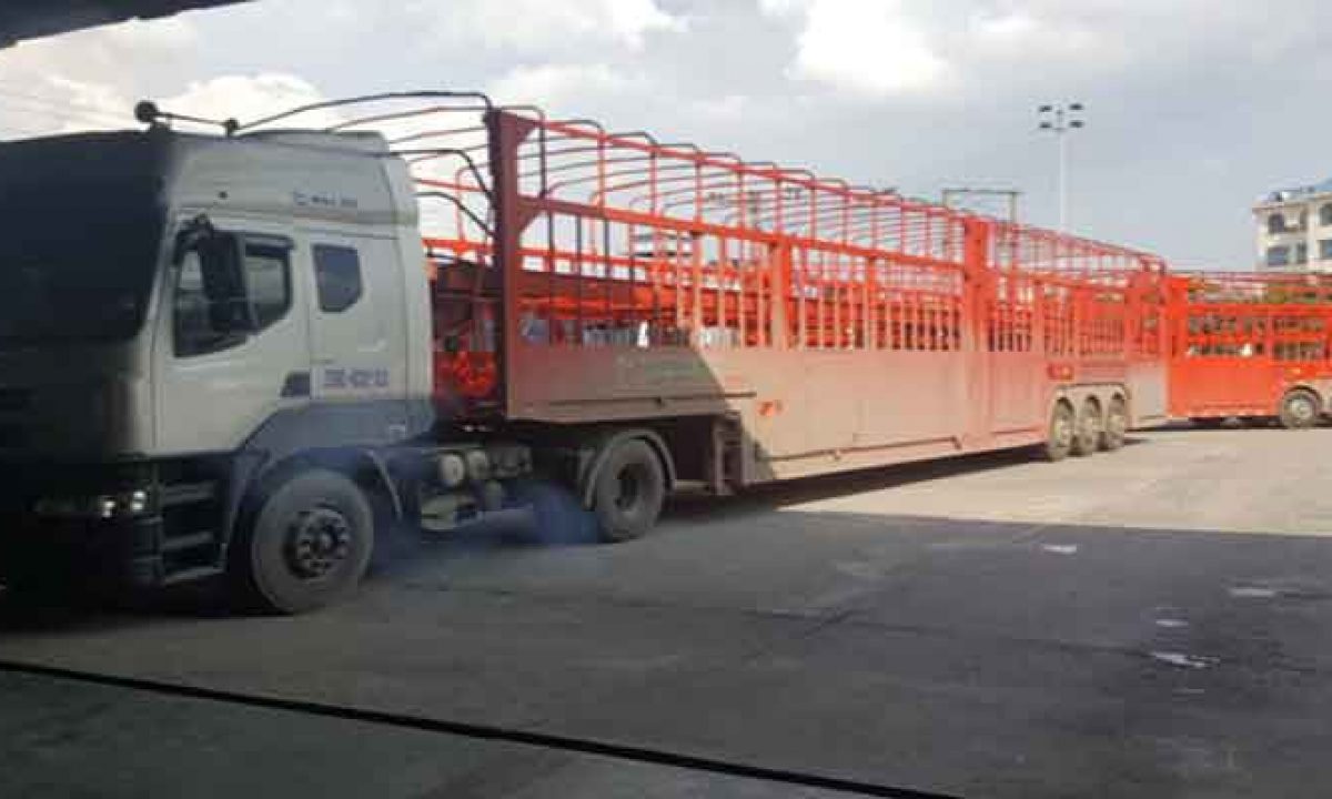 Vận chuyển xe ô tô từ Sài Gòn - Vận chuyển ô tô bắc nam - Dịch vụ nhận vận chuyển ô tô